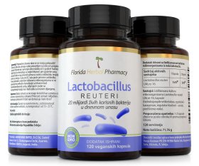 Lactobacillus reuteri probiotik kapsule